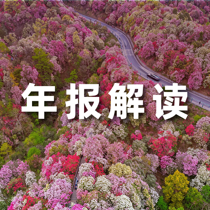 软通动力2025营收利润双增，全栈智能驱动增长，AI相关业务收入占比达52.6%   